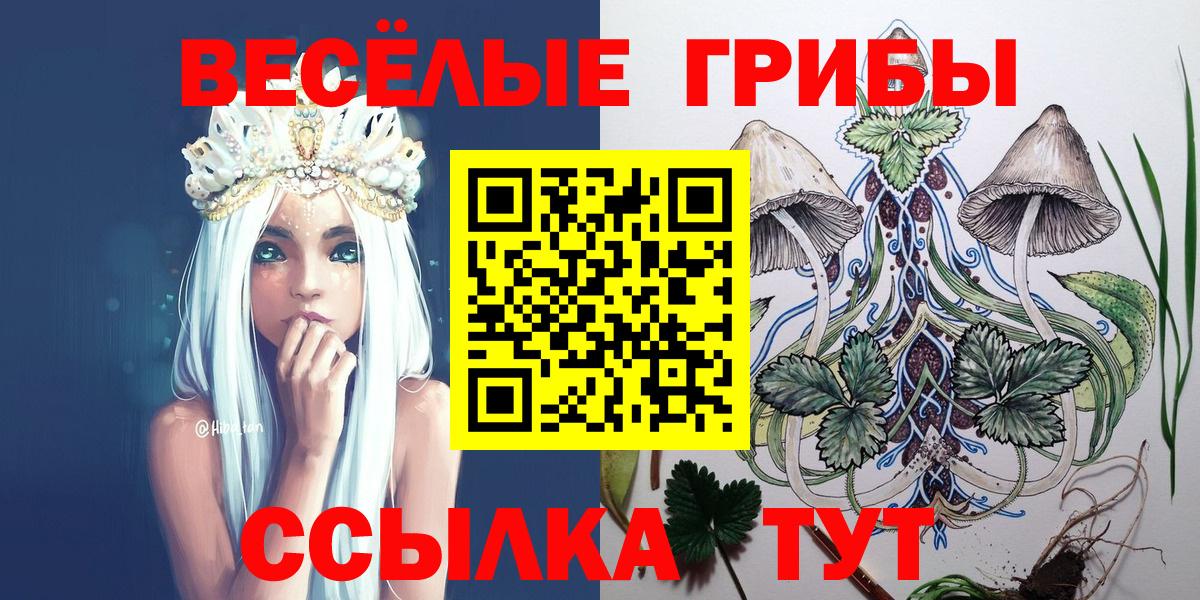 Псилоцибиновые грибы Magic Shrooms  Вход с VPN  Тимашёвск  Галлюциногенные грибы Psilocybe 