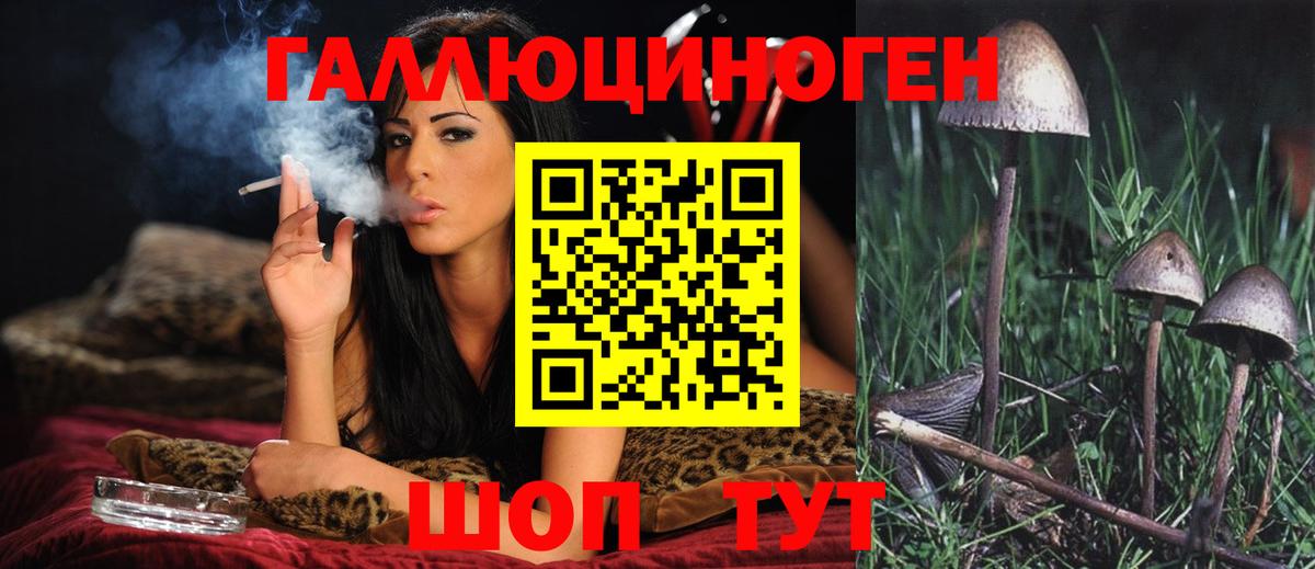 Галлюциногенные грибы ЛСД Тимашёвск